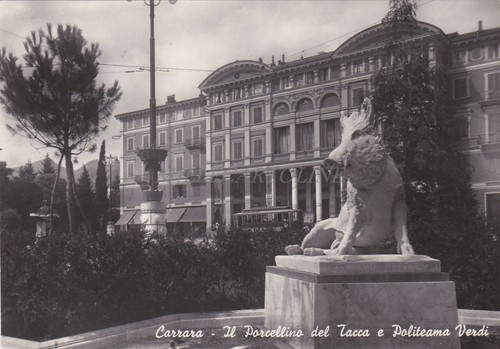 Carrara porcellino del - carrara, il